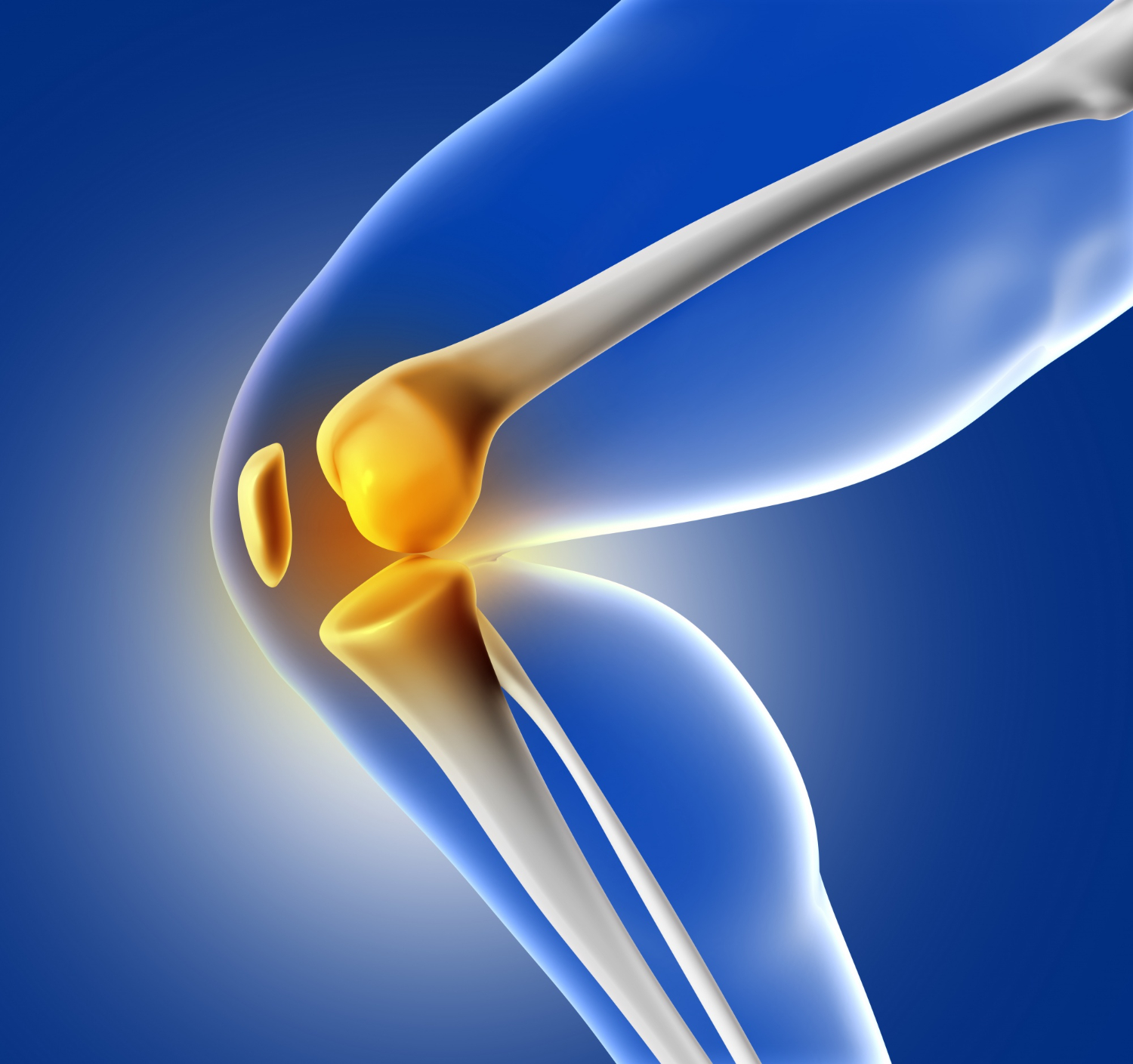 Joint & Cartilage Regeneration